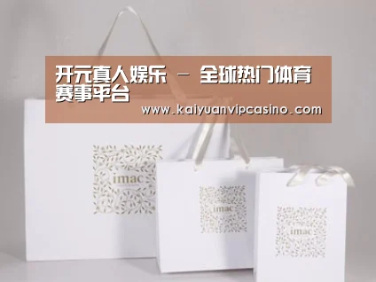 项目名称十一