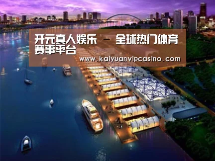 案例展示八