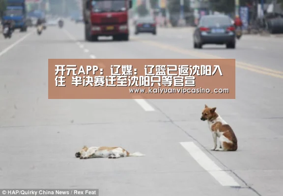 开元APP
