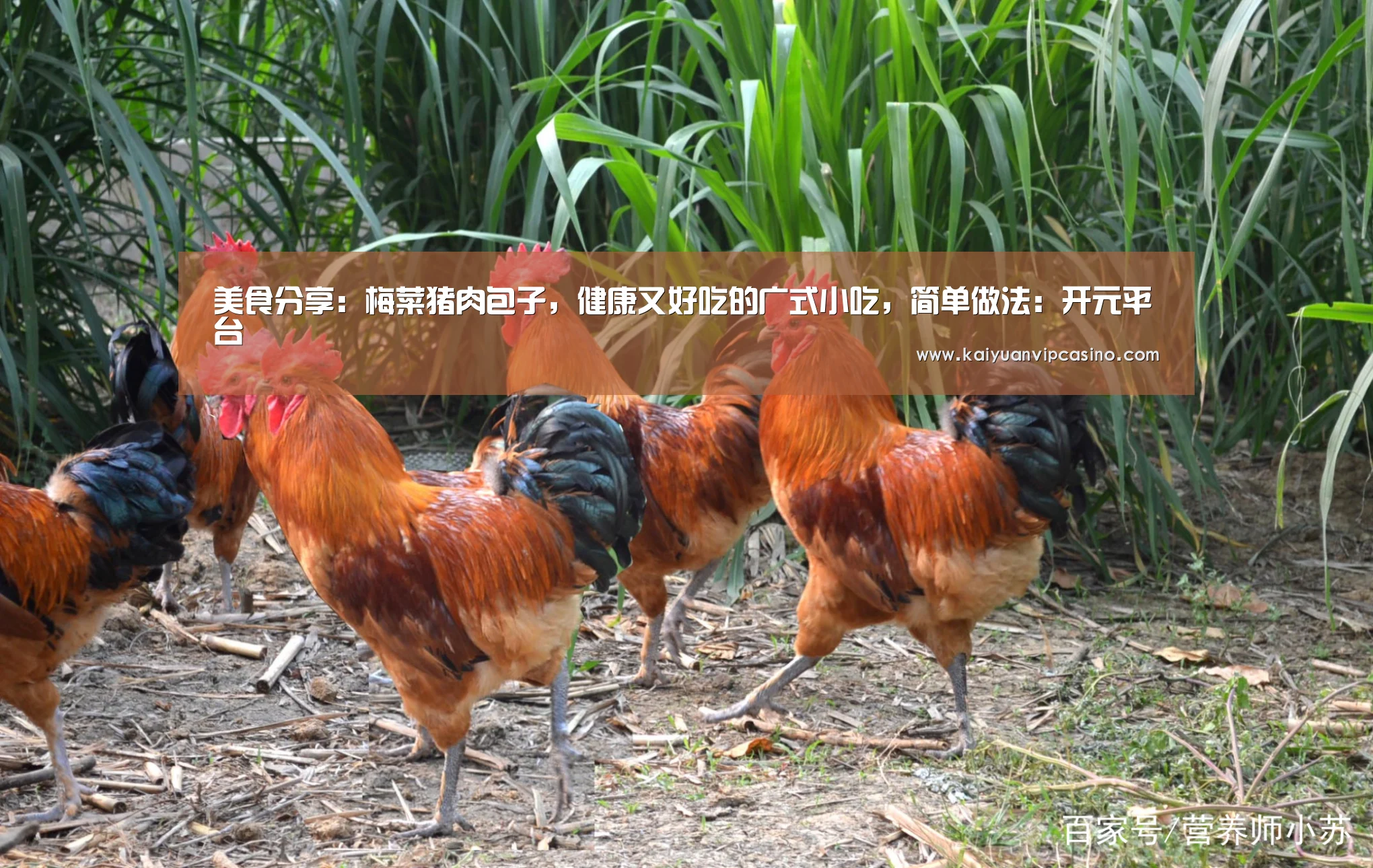 美食分享:梅菜猪肉包子,健康又好吃的广式小吃,简单做法:开元平台(图1) 开元棋牌