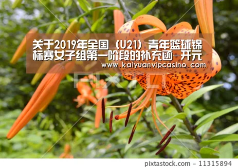 关于2019年全国(U21)青年篮球锦标赛女子组第一阶段的补充函-开元APP(图1) 开元APP